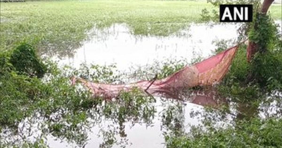 Farmers upset after crops sustain damage due to excessive rains in UP's Aligarh